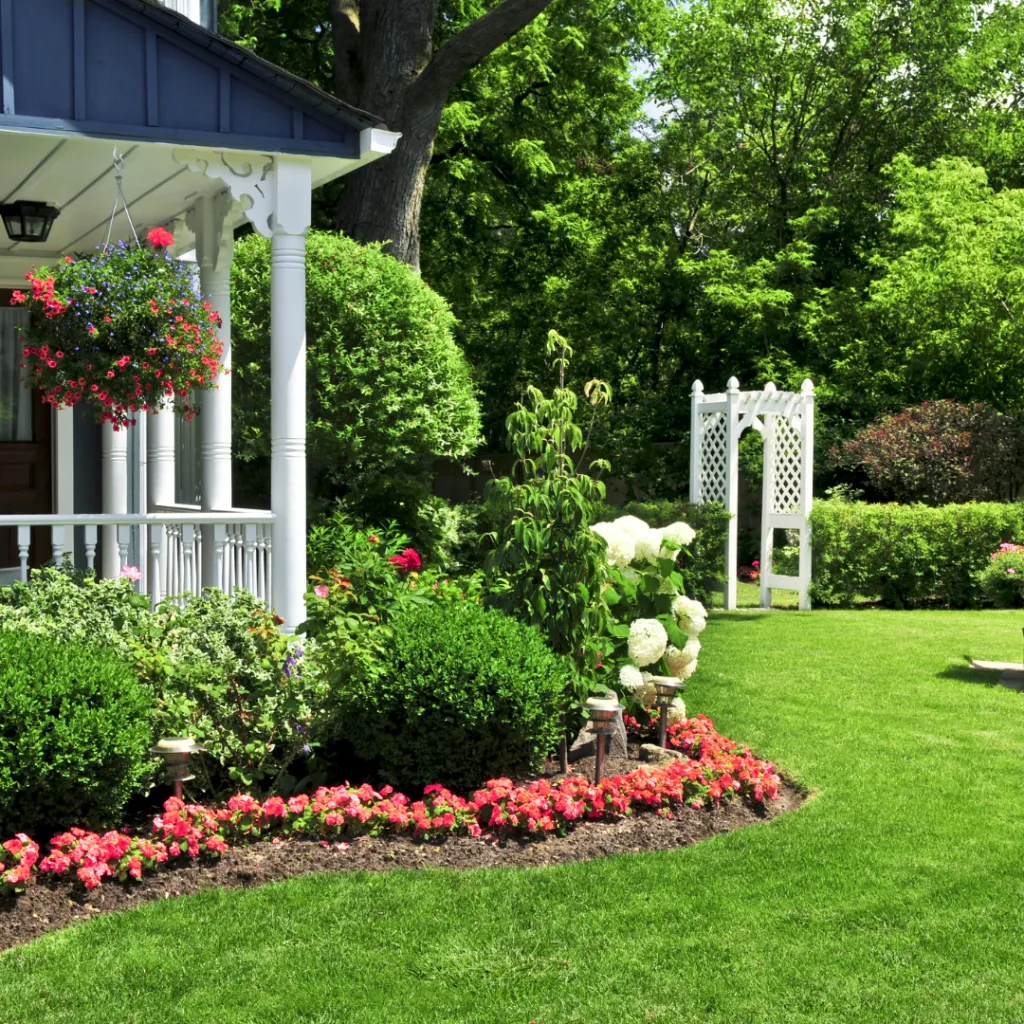 texas landscape design